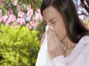 Пыльца растений может спровоцировать астму у детей