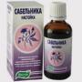 Как правильно употреблять сабельник для суставов?