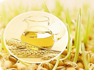 Чем полезно масло зародышей пшеницы
