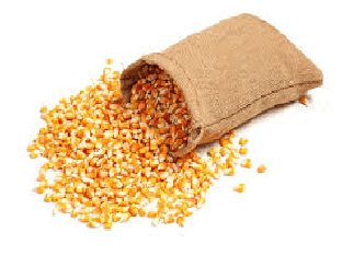 Кукурузная крупа: полезные свойства, рецепты