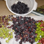 Разница между оливками и маслинами