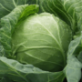 Какие лечебные свойства капустного листа?