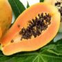 Чем полезна папайя для организма?