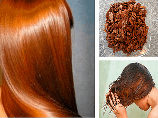Чем полезна кора дуба для волос: отзывы и рецепты по уходу