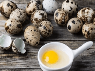 Чем полезны перепелиные яйца - какие лечебные свойства