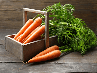 Польза и вред моркови для организма: сколько есть в день