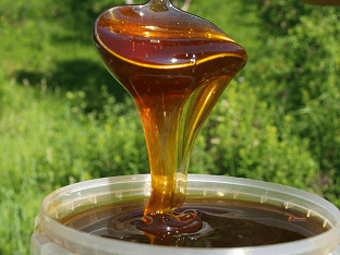 Чем полезен гречишный мед: лечебные свойства и противопоказания