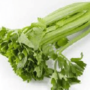 Применение и употребление сельдерея, польза и вред