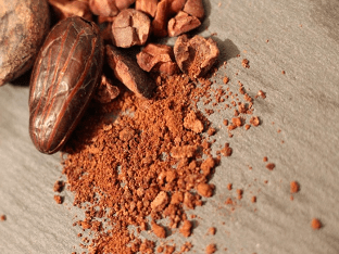 Какао бобы польза, рецепты, факты