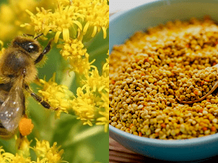 Как принимать пчелиную пыльцу