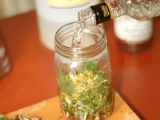 Рецепты приготовления настойки чистотела на водке