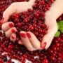 Какая у клюквы польза: полезные свойства