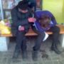 Социальные причины развития алкоголизма