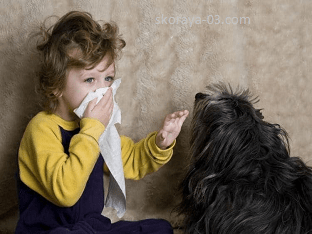 Как проверить, есть ли аллергия на собаку