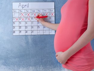 Как рассчитать дату родов: основные методики и их достоверность