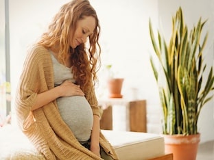 Как развивается ваш будущий малыш в утробе матери