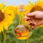 В чем польза подсолнечного масла?