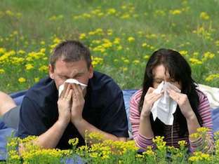 Как проявляется аллергия на пыльцу растений