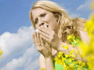 Если аллергия на пыльцу трав, что делать, причины
