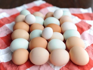 Какая пищевая ценность куриных яиц