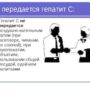 Гепатит С: как передается от человека к человеку