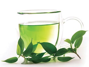 Кудин зелёный чай: чем полезен